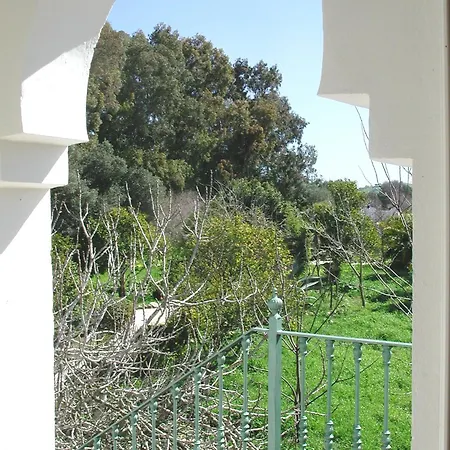 San Ambrosio *