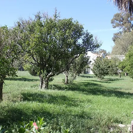 San Ambrosio - In Gruener Oase Mit Terrasse, Pool, Heizung, Wifi Appartement *